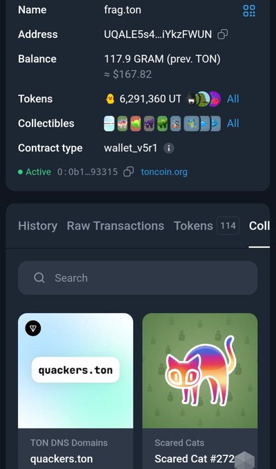 A screenshot of a TON blockchain wallet interface for the address 'frag.ton', displaying a balance of 117.9 GRAM (~$167.82), tokens, and collectibles including 'quackers.ton' domain and a 'Scared Cat' NFT.