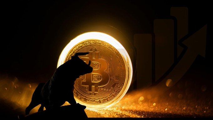A dramatic image shows a silhouetted bull in front of a glowing Bitcoin coin, with a bar chart and upward arrow in the background, symbolizing bullish cryptocurrency market trends.