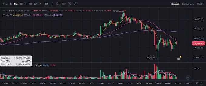 A 15-minute BTC/USD candlestick chart from TradingView showing price at 77,739.72 with moving averages (MA7, MA25, MA99) and a recent sharp dip.
