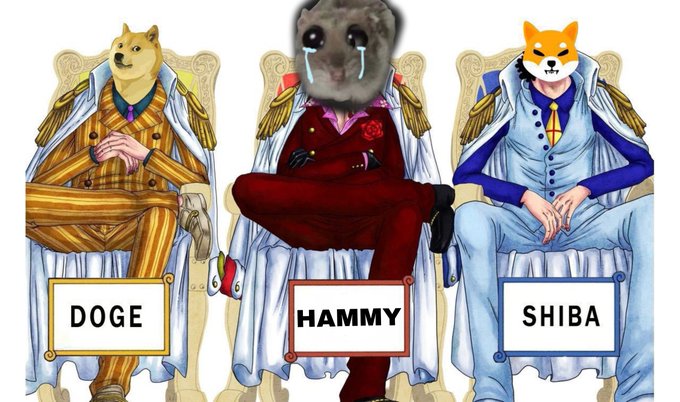A meme featuring three animal characters (Doge, a crying hamster labeled "HAMMY," and Shiba) styled in anime fashion with elaborate suits, promoting the $HAMMY token with its contract address "26KMQVgDUoB6rEfnJ51yAABWWJND8uMtpnQgsHQ64Udr" displayed as a creator's first meme from May 17, 2024. The image playfully positions the crying Hammy between the well-known Doge and Shiba meme dogs, suggesting $HAMMY as a new contender in the meme coin space.