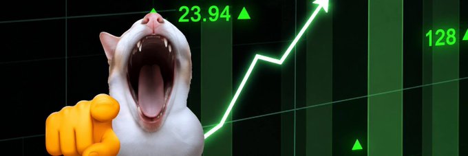 A screaming white cat meme with a pointing hand graphic is superimposed over a green stock chart displaying the value "23.94" with an upward trending arrow, visually representing the bullish momentum hype described in the post about the $BOTTOM Solana meme token.