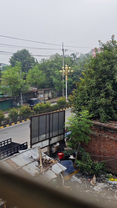 A view from an elevated window looks down onto a quiet street lined with trees, featuring an ornate street lamp, a brick wall, and a corrugated metal structure.
