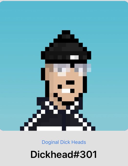 A pixel art illustration of a man with a beard, glasses, and a black beanie against a blue background, labeled 'Doginal Dick Heads' and titled 'Dickhead#301'.