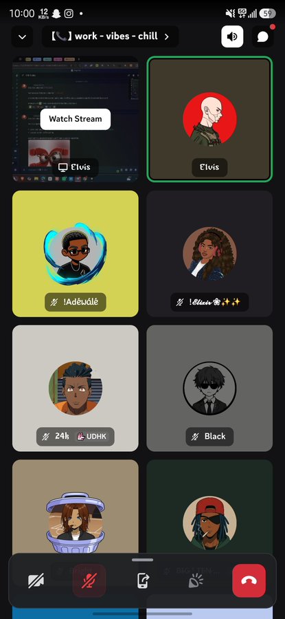 A screenshot of a Discord-style voice chat app shows various user avatars in a grid, with 'Elvis' highlighted in green and the channel name 'work - vibes - chill'.