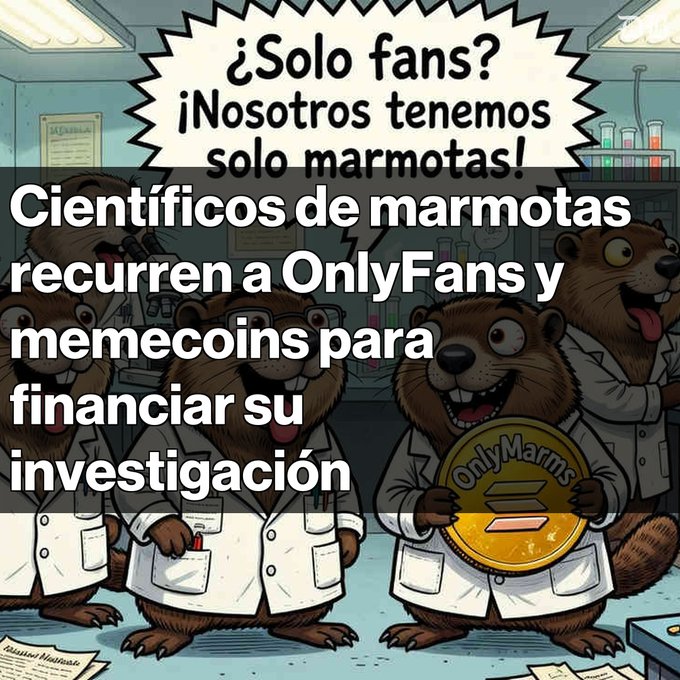 A cartoon illustration of lab-coated marmots in a laboratory, with Spanish text reading '¿Solo fans? ¡Nosotros tenemos solo marmotas!' and overlaid text about 'marmot scientists turning to OnlyFans and memecoins to fund their research'.