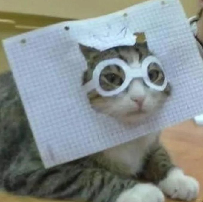 A tabby cat wears a pair of white round goggles fitted through a hole cut into a sheet of gridded paper.