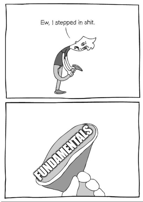 A cartoon shows a person scraping "shit" off their shoe, with the substance revealed to actually be "FUNDAMENTALS" — satirizing how investors dismiss strong underlying fundamentals as irrelevant bad news, which relates to the post's frustration about a coin's price falling despite positive fundamentals.