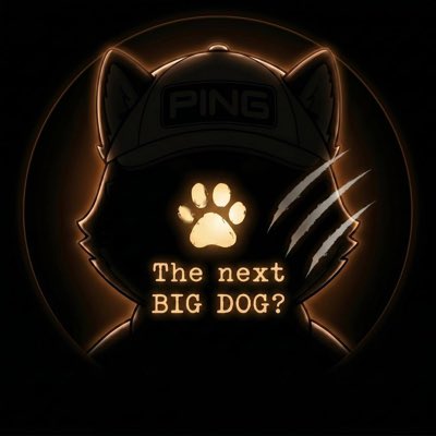 The image features a cartoon cat with its head turned towards the camera, wearing a hat and standing against a black background. The cat's face is partially obscured by a light source that casts an orange glow around it. Below the cat's face, there is text in white letters that reads "The next big dog?". This phrase seems to be related to the image of the cartoon cat or could be part of a larger context within the post.