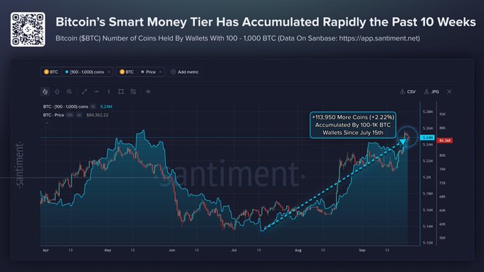 A financial chart titled 'Bitcoin's Smart Money Tier Has Accumulated Rapidly the Past 10 Weeks' showing BTC price data from Santiment, noting '+12,950 More Coins (+2.22%)' accumulated by wallets holding 100-1k BTC since July 15th.