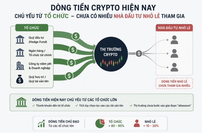 An infographic titled "ĐỒNG TIỀN CRYPTO HIỆN NAY" (Current Crypto Currency) explaining that institutional investors dominate the market (80-90%) while retail investors make up only 10-20%.