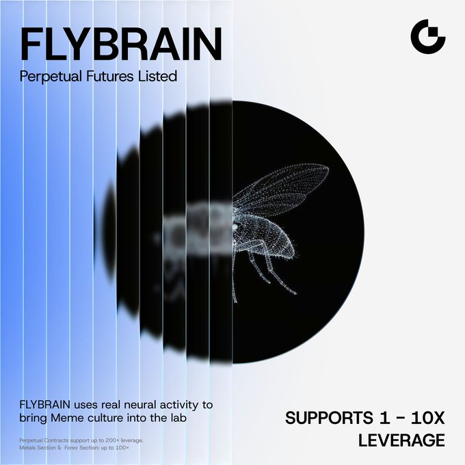 A promotional graphic for Gate Futures announcing the new listing of FLYBRAIN Perpetual Futures, featuring a stylized black-and-white image of a fruit fly on a light blue background. The ad highlights that FLYBRAIN uses real neural activity to bring meme culture into trading, and supports 1–10x leverage with perpetual and metals/forex contracts available up to 200× and 100× leverage respectively.