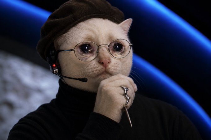 A cream-colored cat wearing a brown beret, round wire-rimmed glasses, and a headset microphone poses thoughtfully with its paw on its chin, set against a cosmic blue background reminiscent of a moon or planet. The contemplative "professor" persona humorously embodies the post's call to send crypto to new all-time highs, with the cat's serious, calculating expression suggesting it's masterminding the next big rally.