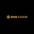 The BNB Chain logo displayed in yellow against a black background.