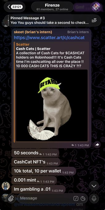 A Telegram group chat called 'Firenze' shows a message from 'skeet (brian's intern)' sharing a link to a Cash Cats NFT collection on Scatter, featuring an image of a cat with a yellow hat. Follow-up messages discuss purchasing '10 CashCat NFTs' for '0.001 mint' with the user noting 'Im gambling a .01'.