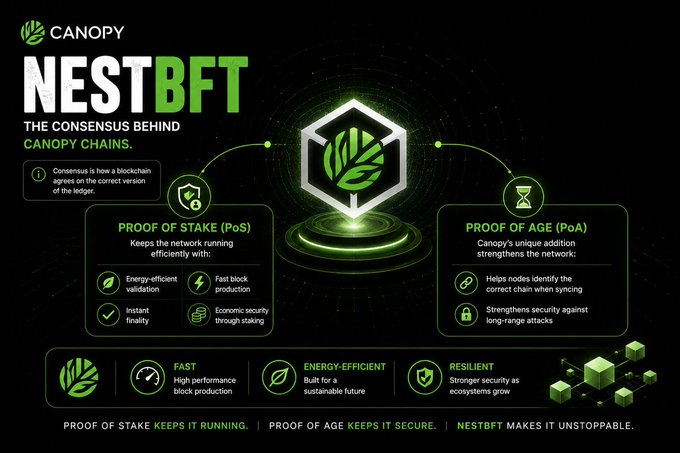 An infographic titled 'CANOPY NESTBFT - THE CONSENSUS BEHIND CANOPY CHAINS' explaining Proof of Stake (PoS) and Proof of Age (PoA) consensus mechanisms.