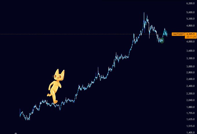 A gold price chart (XAU/USD) showing a strong uptrend from around 1,600 to a peak near 5,600, with a cartoon cat figure animated running up the price line.