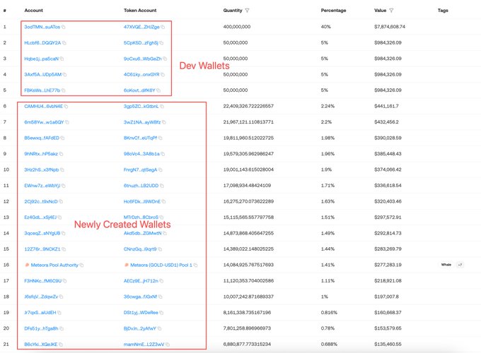 A token holder breakdown showing the top wallets, with the top 5 "Dev Wallets" (including `3xtTMNt` and `HLonML`) holding 60% of the 500 million token supply at $57.4K each, followed by "Newly Created Wallets" with smaller percentages—all suggesting a concentrated, likely rug-pull-style distribution.