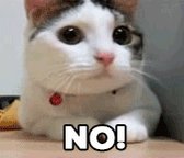 None