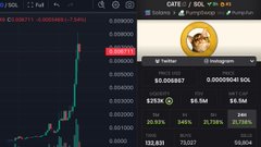 A screenshot showing a cryptocurrency trading chart for 'CATE / SOL' with a doge logo, displaying a price of '$0.000867' and various market stats like market cap and liquidity.