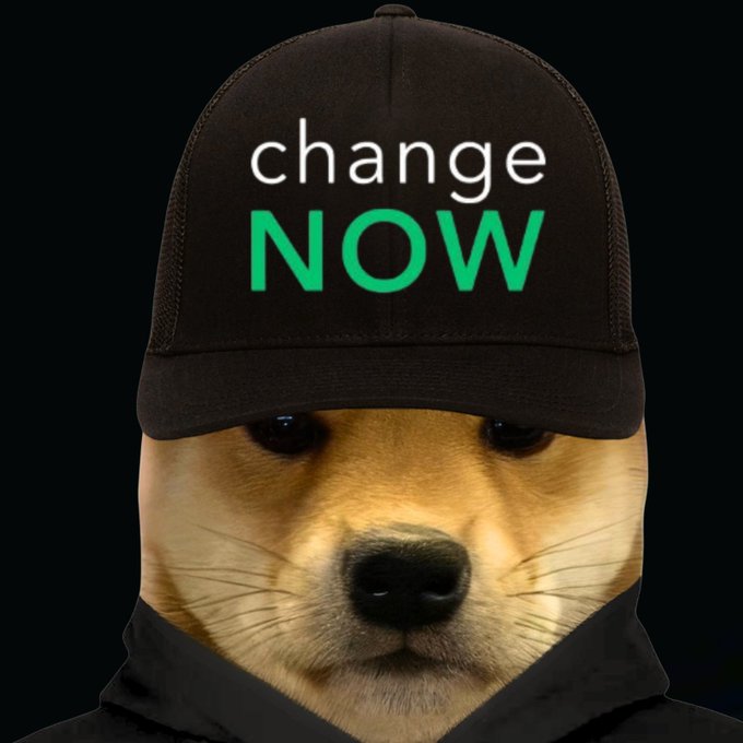 A Shiba Inu dog wears a black cap with the text "change NOW" (in white and green), visually promoting the ChangeNOW exchange where the dogwifhat ($WIF) Solana meme token can be swapped.