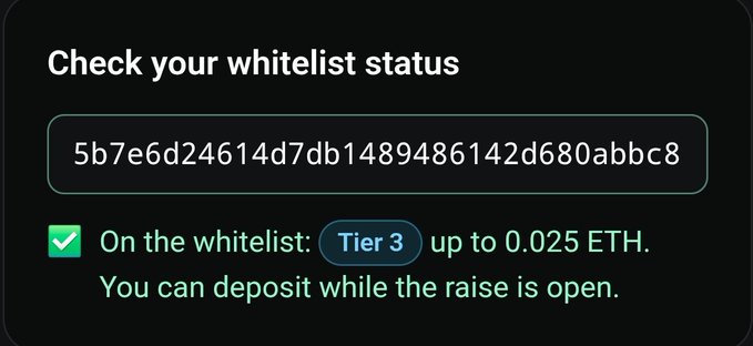 A dark interface displaying a wallet hash with the message 'Check your whitelist status' and a green confirmation: 'On the whitelist: Tier 3, up to 0.025 ETH. You can deposit while the raise is open.'