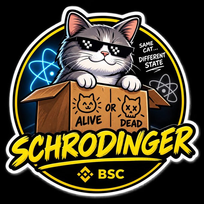 A 'Schrödinger' themed logo/merchandise design featuring a smiling cat wearing pixel sunglasses emerging from a cardboard box labeled 'ALIVE OR DEAD' with atom symbols and 'BSC' text at the bottom.