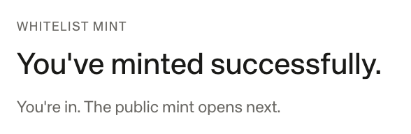 A screenshot showing the text 'WHITELIST MINT' and 'You've minted successfully. You're in. The public mint opens next.'
