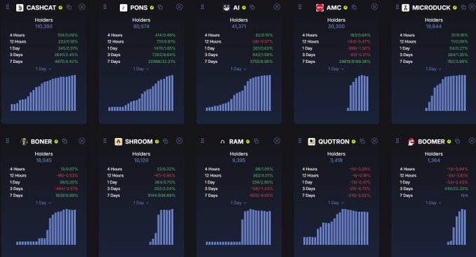 A dashboard displaying crypto token holder statistics for CASHCAT, PONG, AI, AMC, MICRODUCK, BONER, SHROOM, RAM, QUOTRON, and BOOMER, each showing total holder counts and percentage changes across 4 hours, 12 hours, 1 day, 3 days, and 7 days with bar charts below.