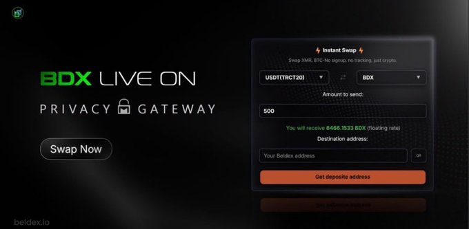 A promotional webpage for "BDX LIVE ON - PRIVACY GATEWAY" at beldex.io, showing an "Instant Swap" interface for exchanging USDT(TRC20) to BDX, with 500 yielding 6466.1533 BDX.