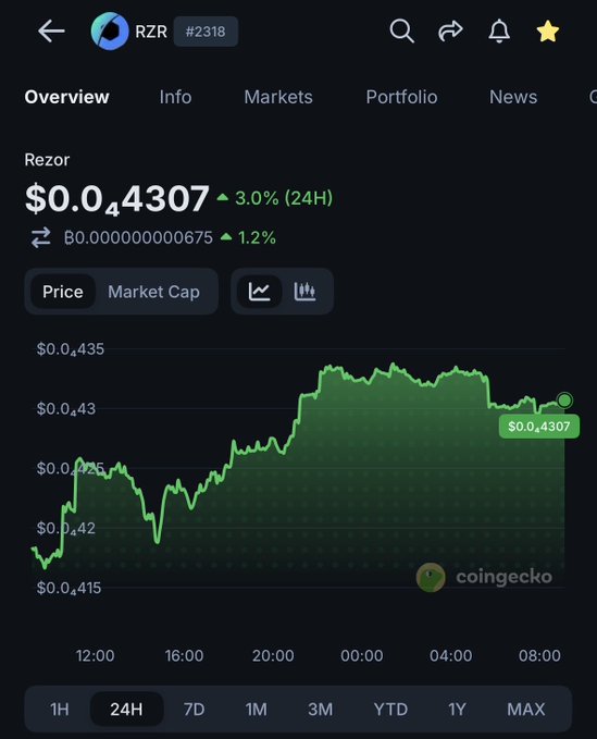 CoinGecko screenshot showing the price chart of cryptocurrency "Rezor" (ticker RZR, #2318) at $0.04307, up 3.0% over 24 hours, displayed in green.