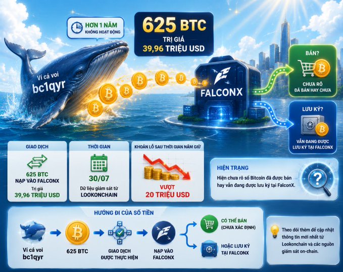 Vietnamese-language infographic about a 625 BTC ($39.96 million USD) sale, depicting a whale ("Ví cá voi bc1qyr") with over 1 year of inactivity, trading on Lookonchain on 30/07, moving through FalconX and onto Binance, generating over $20 million in profit.
