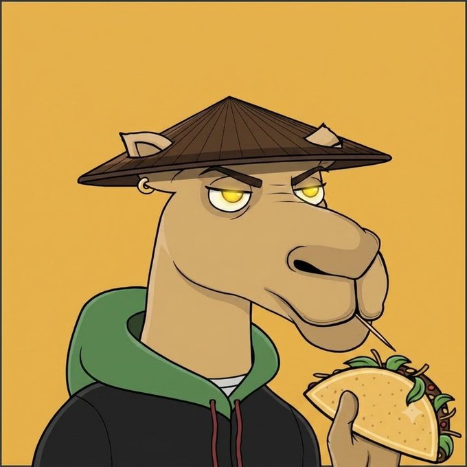 A cartoon illustration of a character with a long snout wearing a conical hat and green hoodie, eating a taco.