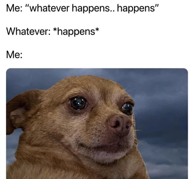 A meme featuring text that reads "Me: 'whatever happens.. happens' / Whatever: *happens* / Me:" above a close-up image of a sad-looking small brown dog with watery eyes against a cloudy gray sky background, illustrating the feeling of being unprepared for consequences.