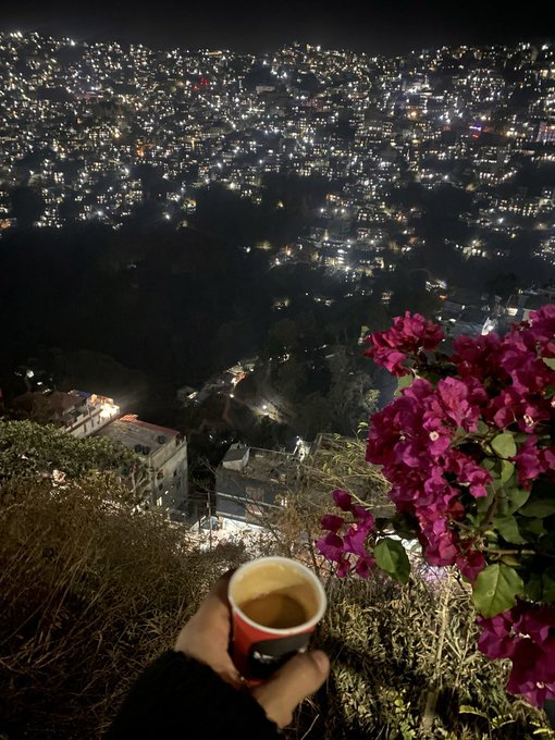 A first-person view shows a hand holding a cup of coffee overlooking a sprawling city at night, illuminated by countless lights, with vibrant pink bougainvillea flowers in the foreground.