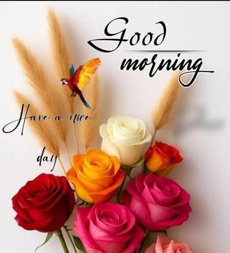 A 'Good morning' greeting graphic featuring a bouquet of colorful roses, wheat stalks, a parrot, and the text 'Have a nice day'.