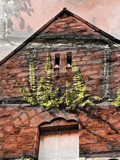 A red brick building facade with a triangular gable features two small windows where birds are visible, with green ivy-like plants growing on the brickwork above an arched doorway.