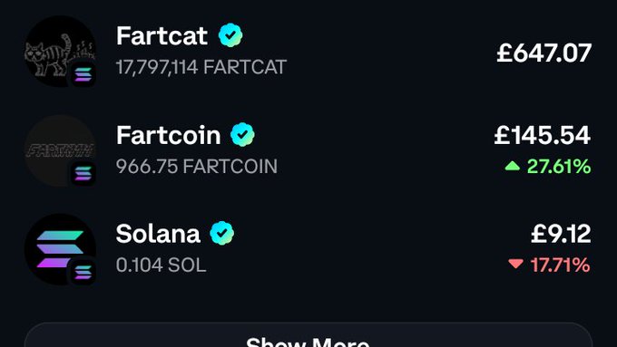 A cryptocurrency portfolio screenshot displays holdings of 17,797,114 FARTCAT valued at £647.07, 966.75 FARTCOIN valued at £145.54 (up 27.61%), and 0.104 SOL valued at £9.12 (down 17.71%), illustrating the Fartcat investment and Fartcoin dividend returns mentioned in the post.