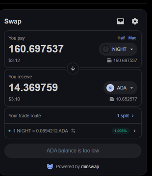 A Minswap cryptocurrency interface shows a swap transaction of 160.697537 NIGHT to 14.369759 ADA, with an alert noting 'ADA balance is too low.'