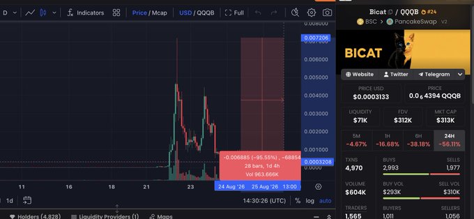 A cryptocurrency trading chart for "BICAT / QQQB #24" on PancakeSwap v2 showing a 24-hour price drop of "-95.55%" with the price at "$0.0003133" and volume at "$604K".