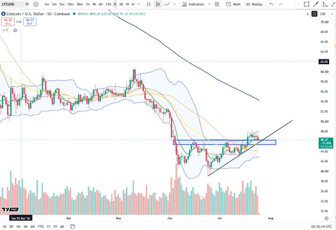 A daily candlestick chart of Litecoin (LTC/USD) on Coinbase shows the price trading near $52, with a recent bounce off a support zone highlighted by a blue rectangle around the $44–$46 area, after a sharp selloff from the $60+ region in late May/early June. An ascending trendline from the late June lows and a descending resistance trendline from May suggest a tightening consolidation, with the next move likely determining whether LTC holds above support or slides back to the "goblin town" lows near $38–$40.