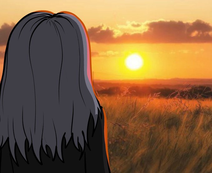 An anime-style illustration depicts a person with long dark hair viewed from behind, watching a warm sunset over a golden grassy field.