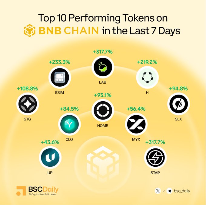 The image shows a graph with various tokens, such as Bitcoin, BNB Chain, Ether, and more, depicted in different sizes against a yellow background. The text at the top of the image provides information about the tokens featured, including their performance and the number of days they have been trading. It also includes Twitter handles associated with these tokens, likely to give users an idea of which coins or tokens are being recommended on the post. The post appears to be focused on cryptocurrencies, particularly those related to BNB Chain, and it provides a valuable resource for people interested in investing in or learning about different cryptocurrency markets and trends.