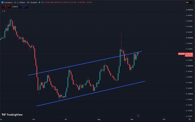 A daily candlestick chart of Cardano (ADA/USD) on Kraken shows the price consolidating within an ascending channel between roughly $0.15 and $0.23, approaching the upper resistance near $0.25—aligning with the post's prediction that a breakout above $0.25 could fuel a rally toward $0.30.
