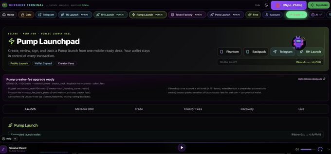 A screenshot of the Cheshire Terminal website showing the 'PumpLaunchpad' section, a public launchpad platform for creating, reviewing, and tracking token launches.