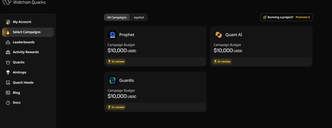 In this image of a website dashboard, there are several campaign lists displayed across multiple tabs within the webpage layout. These campaign lists include "@wallchain" for followers and "@wallchain" campaigns, as well as other campaigns such as "my campaigns", "profile", and "Campaign budget". The dashboard also includes a section focused on user-generated content and interests. However, amidst these important details, there is something interesting happening in the background that seems to draw attention away from the main focus of the image: a post about a campaign related to "@wallchain" that has been shared by someone named @wallchain. The post appears to be generating curiosity among the viewers as they try to understand what's going on and how it connects to the image or content displayed in the dashboard.