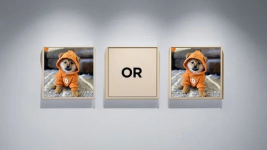 Three square frames hang on a light gray wall; the outer two display identical photos of a puppy in an orange hoodie, while the center frame shows the word "OR" in black text.