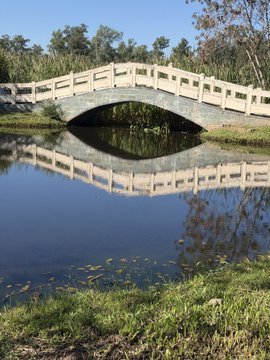 A white stone arch bridge reflected perfectly in the calm water below, surrounded by green reeds and trees under a clear blue sky.