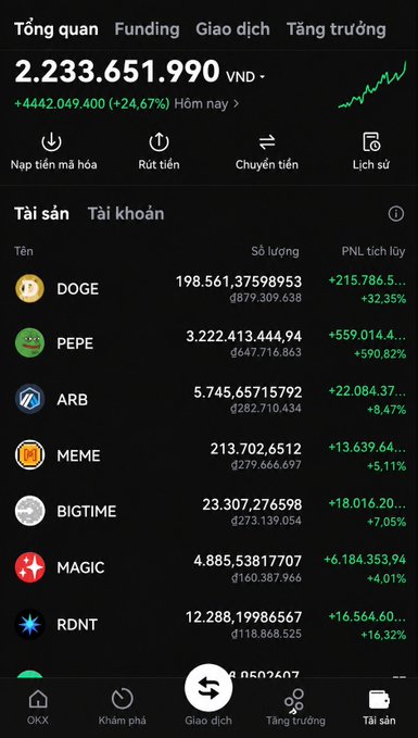 A cryptocurrency portfolio app in Vietnamese showing a total balance of 2,233,651,990 VND (up 24.67%), with holdings including DOGE, PEPE, ARB, MEME, BIGTIME, MAGIC, and RDNT.