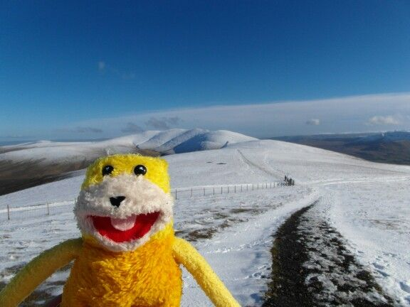A yellow furry puppet with a wide smile stands in the foreground of a snowy mountain landscape with a clear blue sky and a path leading into the distance.