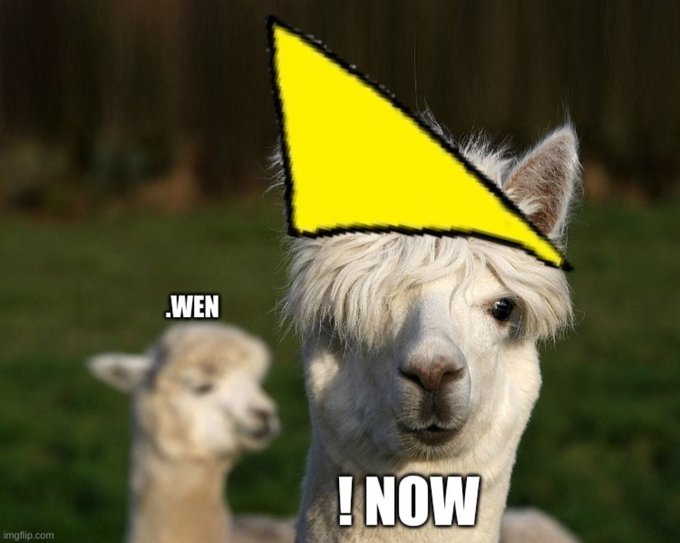 A meme featuring a llama with a yellow triangle on its head, with text reading '.WEN' on the background llama and '! NOW' on the foreground llama, with the imgflip.com watermark in the corner.